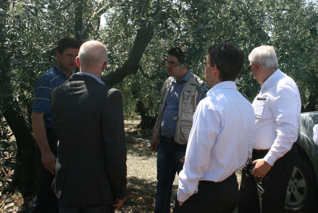 Direct contact with local producers 